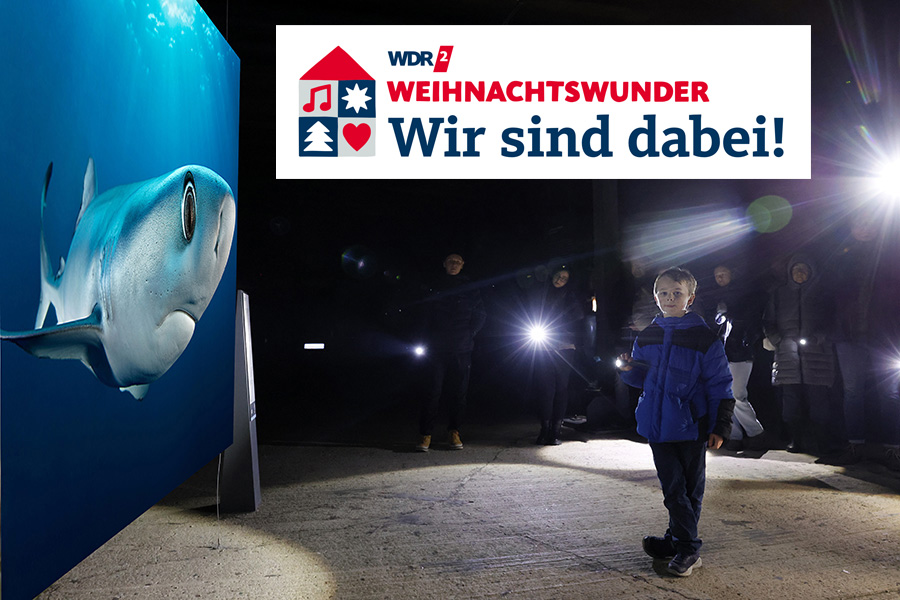 Auch in diesem Jahr unterstützt der #Gasometer wieder das große #WDR 2 #Weihnachtswunder. Sonderöffnung am Montag, dem 24. November, von 10 bis 18 Uhr, und Taschenlnampenführungen um 18, 19 oder 20 Uhr. 
Zu den  #Taschenlampenführumgen:
gasometer.ticketfritz.de/Event/Kachel/w…