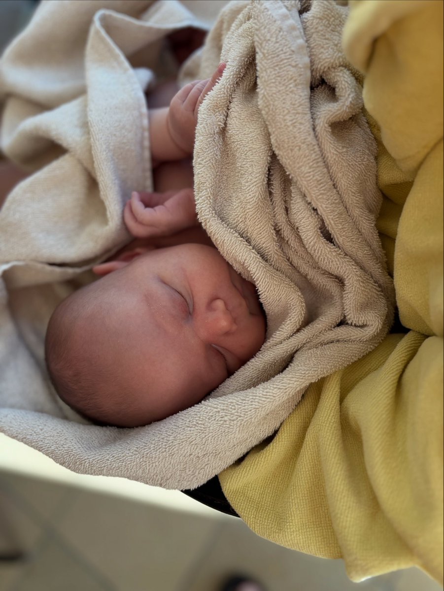 738 days ago we were on a road trip, Simchat Torah in Eilat. happy, carefree. Next morning, the world changed. Fear, disbelief. 251 kidnapped. Today, as light begins to return, I look at Asaf and hope he’ll grow into another reality. Maybe, this year will bring good news. 💫🇮🇱