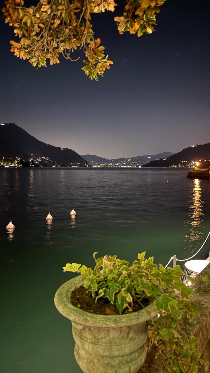 Albachiara Sport&Entertainment tweet media