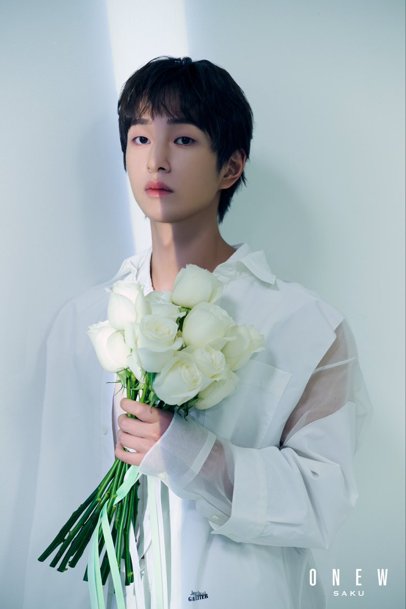 zip_special's tweet image. この後深夜12時から！
高樹リサがナビゲート
Midnight K-POP Diary🌙

今夜は、SHINee のリーダー
#ONEW が登場🌸
Japan 2nd Mini Album『#SAKU』や
推しトークも！？
どんなお話が聞けるかなー😊
是非リアタイしてください📻⚡️
皆さんの推しへの想いは
メッセージもしくは、
#リサ日記…