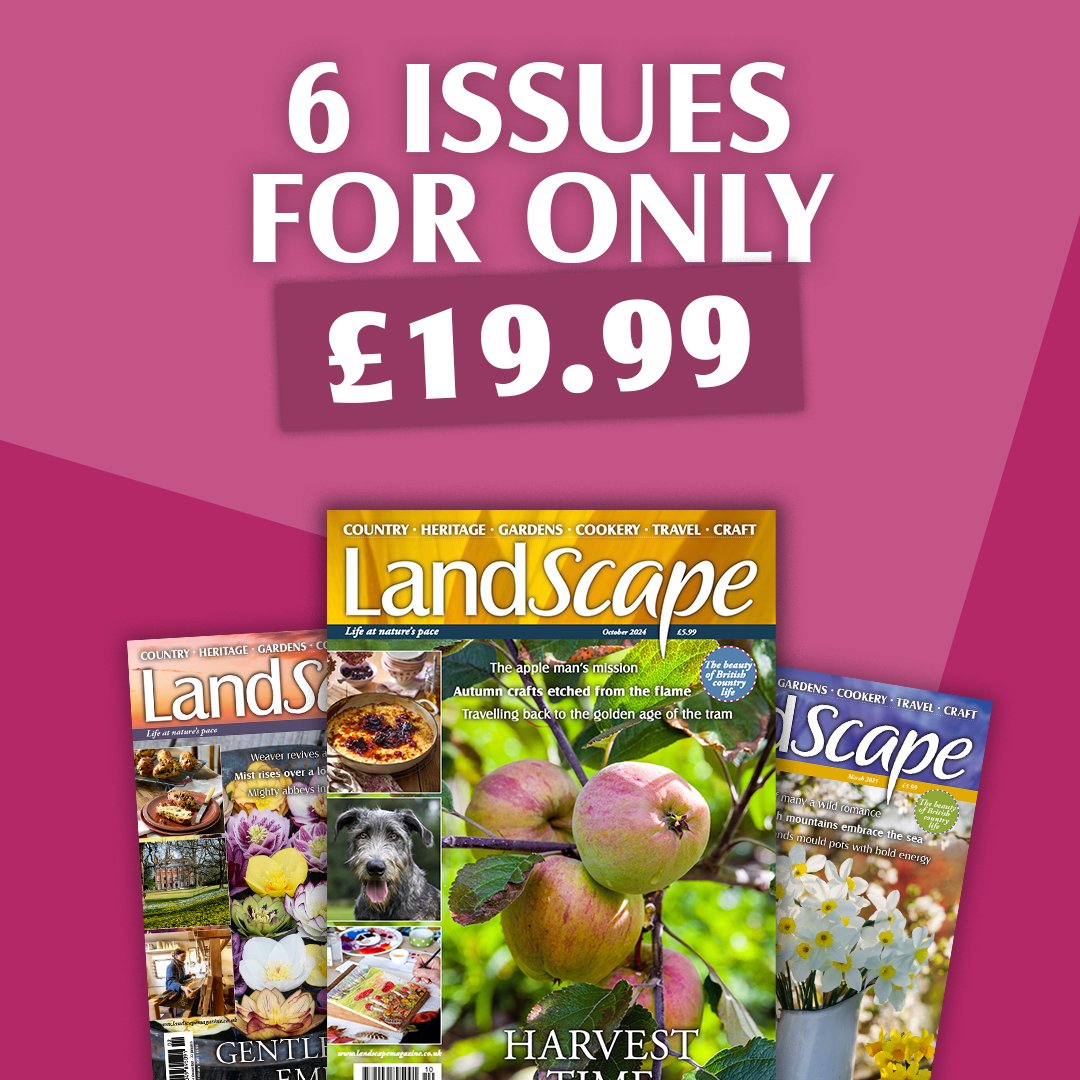Get 6 issues of LandScape Magazine for just £19.99!
Immerse yourself in stunning photography, seasonal gardening tips, traditional crafts, and delicious countryside recipes.
Click here to subscribe: bit.ly/4nJCF4b