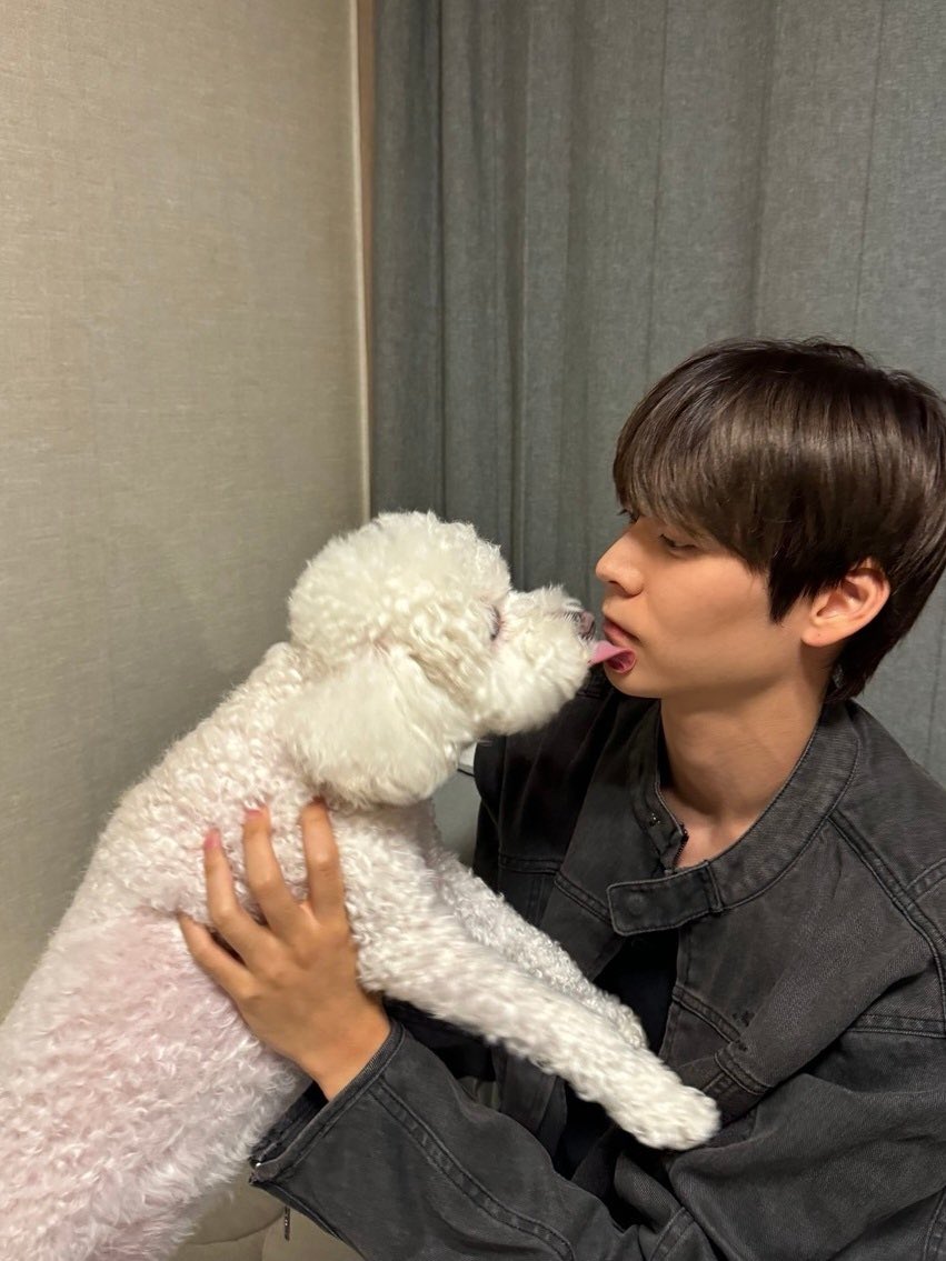 ohmy01z's tweet photo. 견주들 좋다…. https://t.co/d7yaLUFrNV