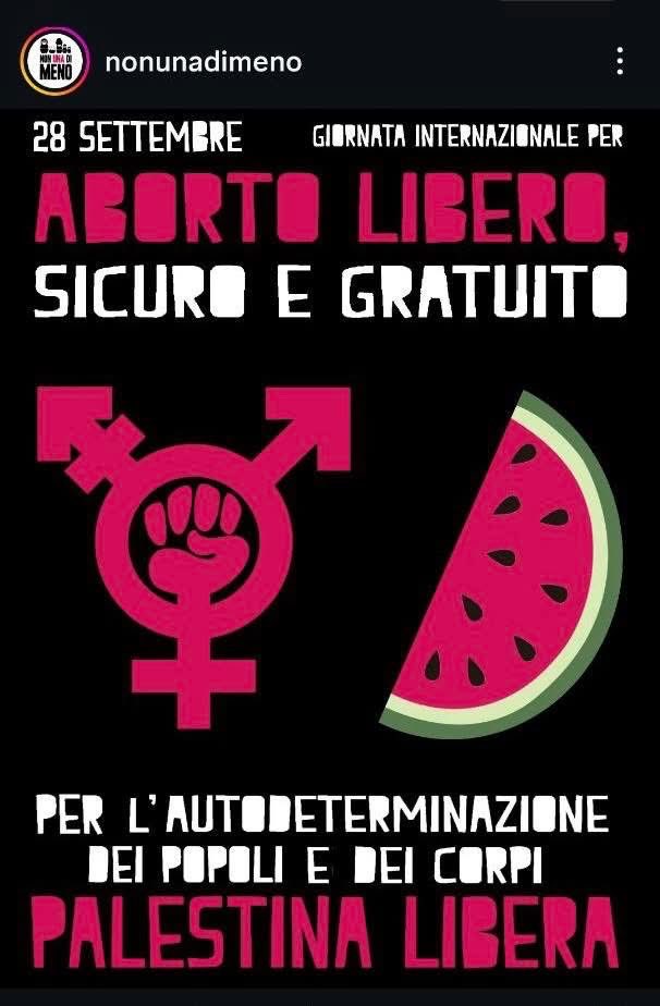 Un intervento di Roberto Damico 

Non Una di Meno ha pubblicato un’immagine in cui, con una torsione ormai abituale in certi ambienti, si associa il diritto all’aborto al diritto della Palestina a essere libera.
A prima vista, nulla di strano: sembrano due battaglie figlie della