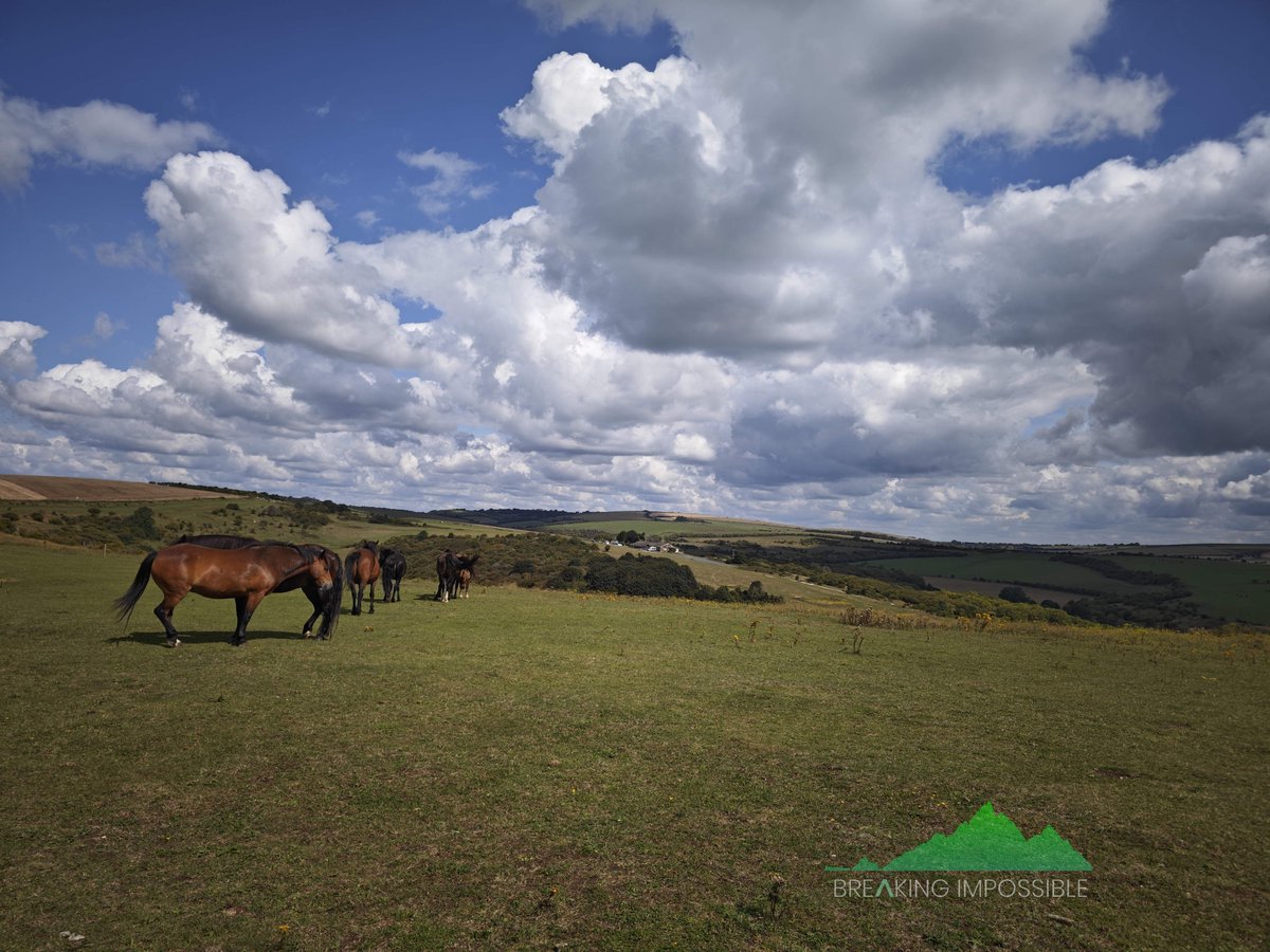 GoProFun's tweet image. Just me and a few #trail buddies.
#running with the herd. Not quite wild, but neither penned up!
#BreakingImpossible #running #OptOutside #travel #travelphotography #PhotoSafari
