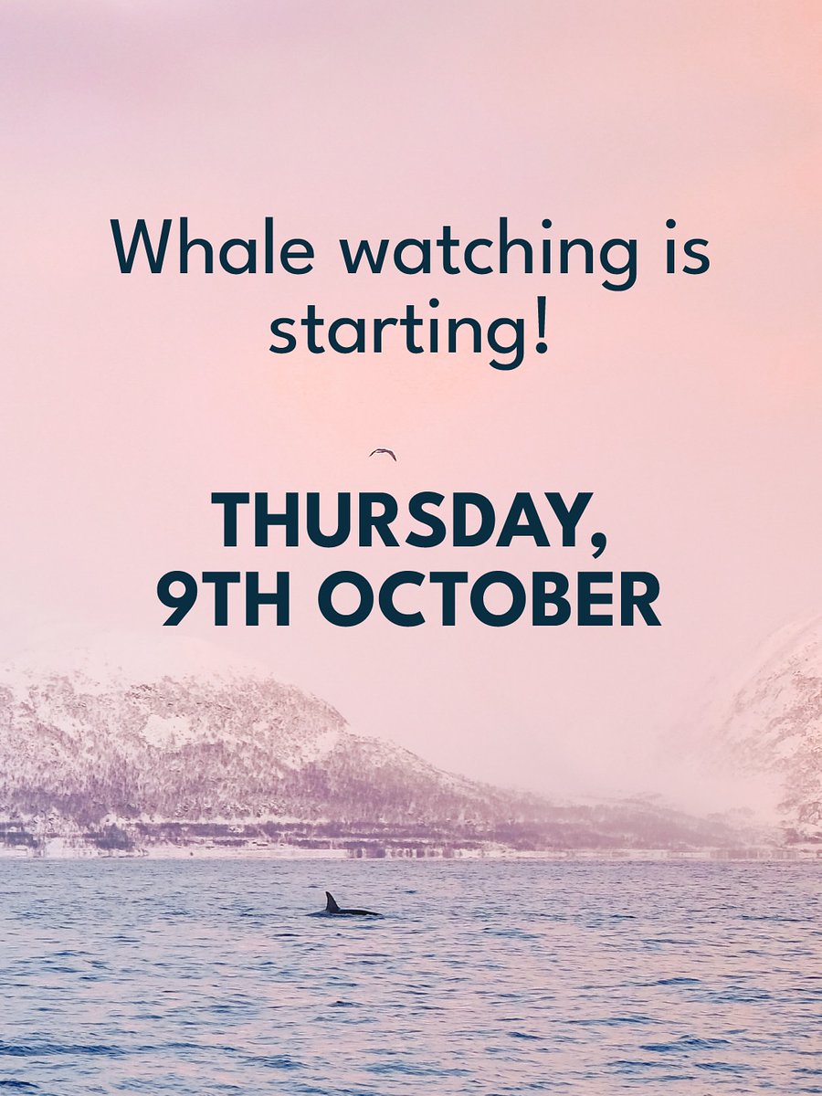 arcot2arctic's tweet image. அரோரா பார்க்க நெறய பேர் நோர்வே வரணும் என்று கேட்கிறார்கள். அவர்களுக்கான பதிவு இது 

நோர்வே schengen zone ல வருவதால் நீங்கள் schengen ஏரியாவில் இருக்கும் எந்த நாட்டிற்கு வேண்டுமானாலும் விசா எடுத்துக்கொண்டு அல்லது இருந்தால் நோர்வே வரலாம். முதல் முறை schengen வாங்கிக்கொண்டு பயணம்…