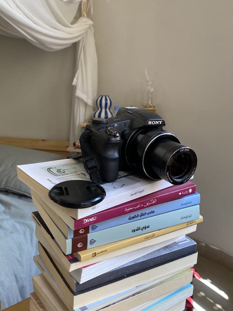 LENA alotaibi tweet media