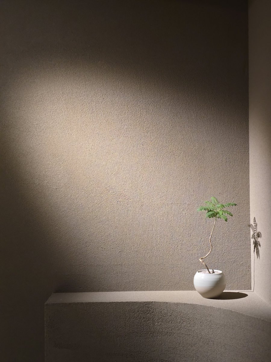 ✦ 예평 분당점 가오픈 안내 ✦

예평 분당점이 10월 15일부터 5일간 가오픈을 시작합니다.
정식 오픈은 10월 20일(월요일)입니다.
예평 분당점의 새롭게 선보이는 프라이빗 티 코스,
〈Serenity Course〉 가 한정으로 운영됩니다.

📍 예평 분당점
경기도 성남시 분당구 서현로371번길 5, 1층.