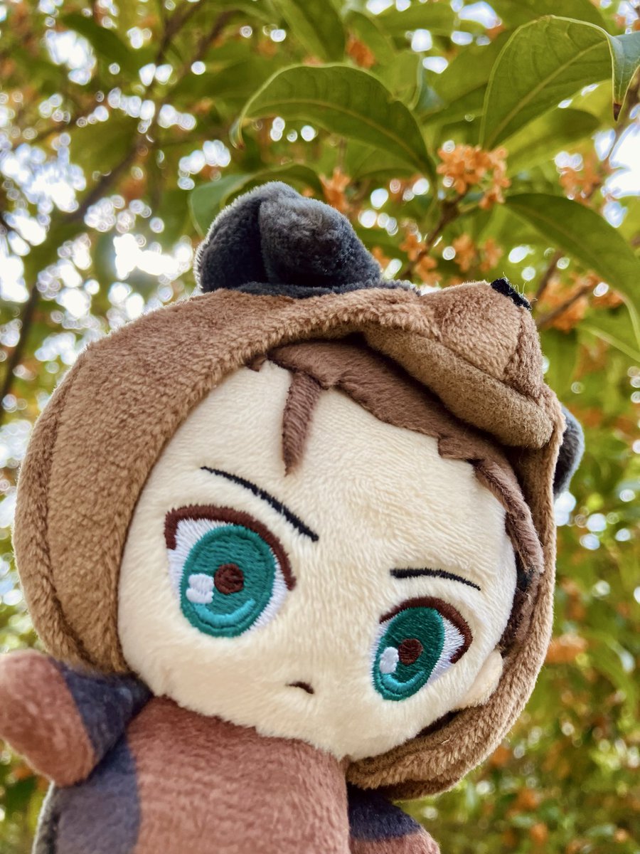 金木犀が満開でした☺️🐶

しかしこれは一週間前の、例の前髪事件が起こる直前の写真…

 #えれわんと一緒