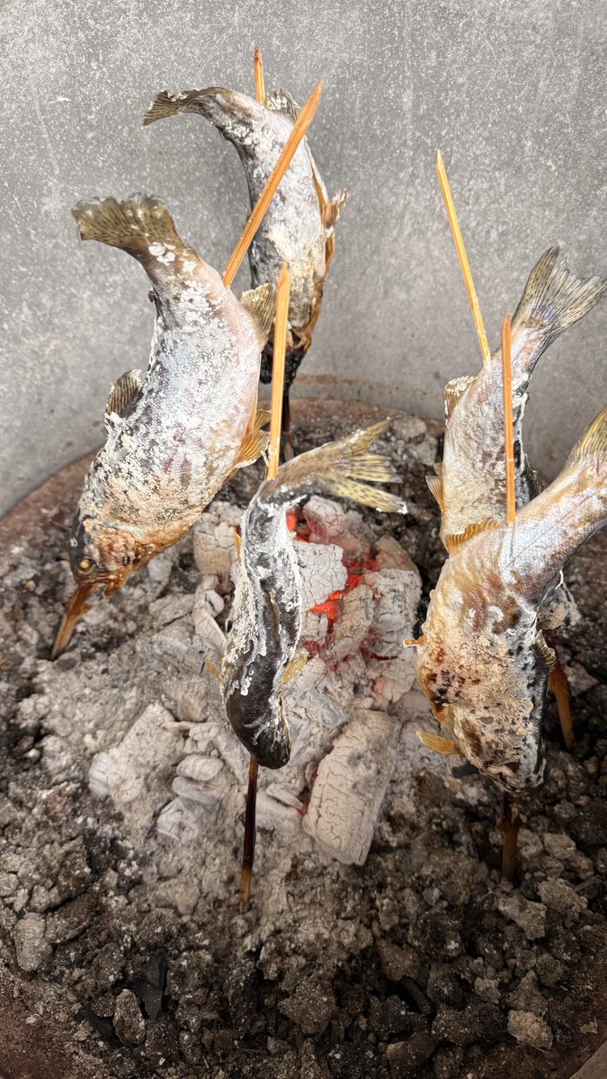 関アウトドアナイフショーを断念してまで参加した釣り大会では大きさの部門では最上位でした。

今週末もトラウト＆キャンプの予定。