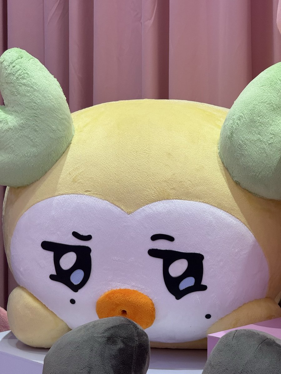 𝐌𝐨𝐬𝐜𝐨𝐰 𝐌𝐮𝐥𝐞 tweet media