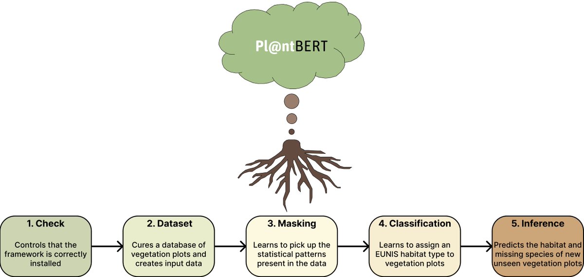guarden_eu's tweet image. Out in #NaturePlants: PlantBERT, an LLM learning the “syntax” of plant assemblages that predicts missing plant species + classifies habitats. Led by GUARDEN PhD César Leblanc. nature.com/articles/s4147… Code ⭐: github.com/cesar-leblanc/… Demo: huggingface.co/spaces/CesarLe… #AIforNature