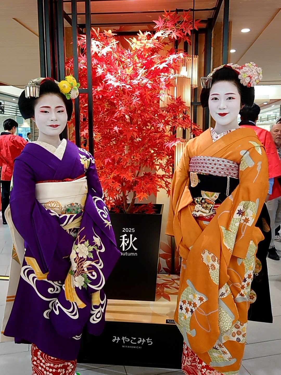 週末限定値下げ　舞妓　日本髪　髷　かもじ　赭熊　しゃぐま 週末限定値下げ 舞妓 日本髪 髷 かもじ 赭熊 しゃぐま 週末限定