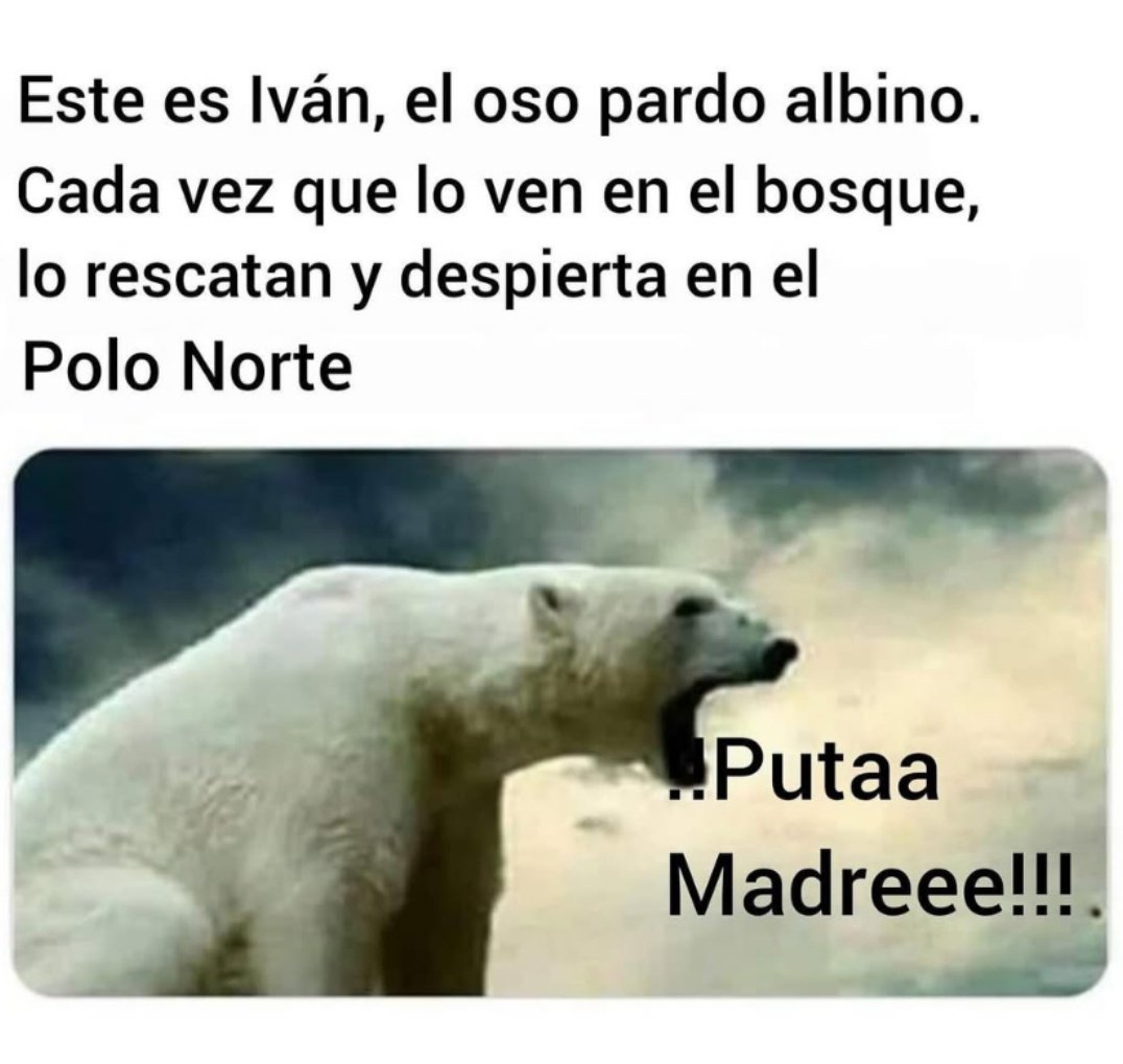 Ana_LaPatata (@ymuchosmemes) on Twitter photo 