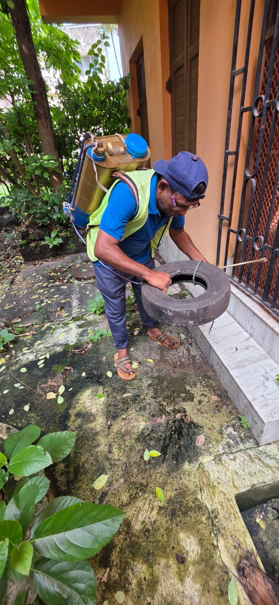 kmc_kolkata's tweet image. A few pictures of the frontline workers of the Vector Control Team on duty across the city.

#VectorControlByKMC #KMConDuty