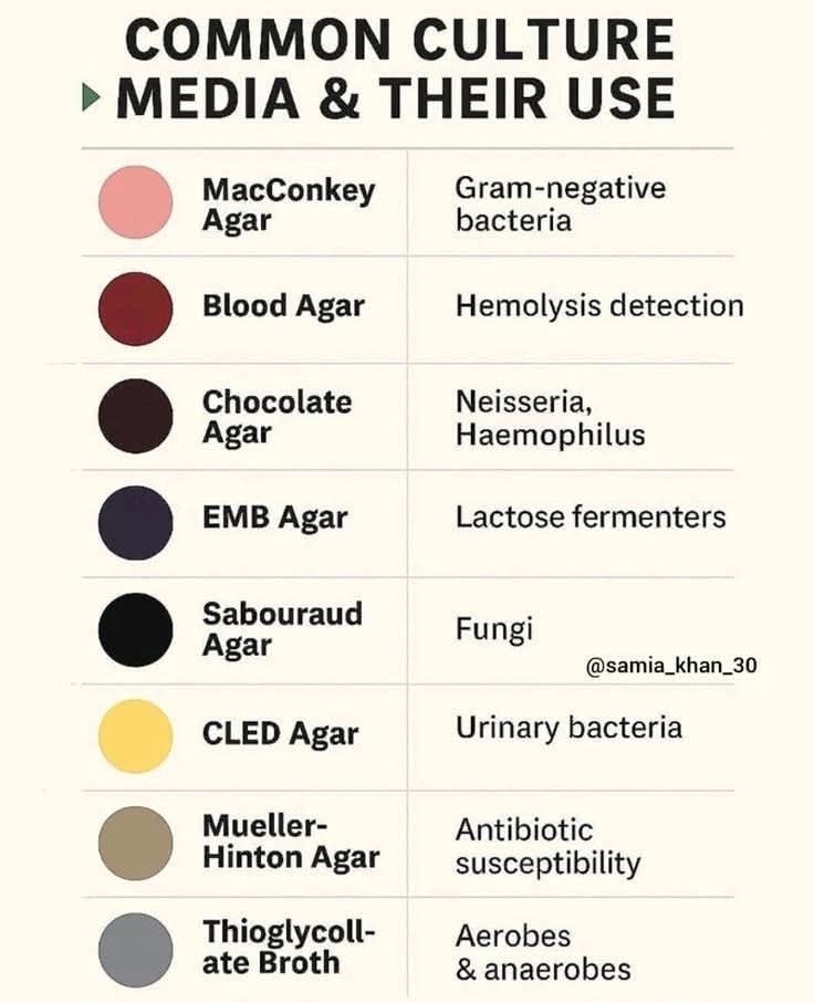 Culture 🧫🧪 Media and their uses