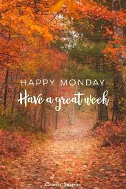 Good morning! Wishing you an absolutely magnificent Monday filled with joy and inspiration. May your day be bright and refreshing! 🙏🙏☕️🌞🌴☕️ 🇺🇸🫡