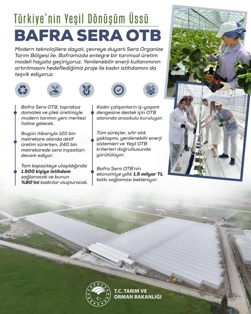 🌿 Tarımın vizyonu yeşil dönüşümle şekilleniyor.

⚡Enerji verimliliği, 
♻️ Sıfır atık prensibi ve 
✅ Çevre dostu teknolojilerle kurulan Bafra Sera OTB, sürdürülebilir üretimin üssü olma yolunda emin adımlarla ilerliyor.

🤝 Kadın istihdamını merkeze alan, üretimi güçlendiren