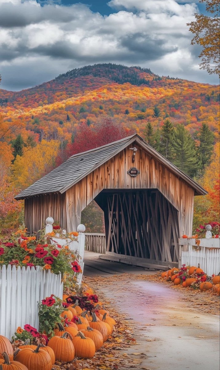 Good Monday mornin’, y’all🌞Rise with a warm grateful heart, whisper prayers for loved ones &amp; inspire with the gentle glow of your soul. Let’s wrap this week in love and light! 🙏🏼🕊️✨
Y’all have a beautiful new week!