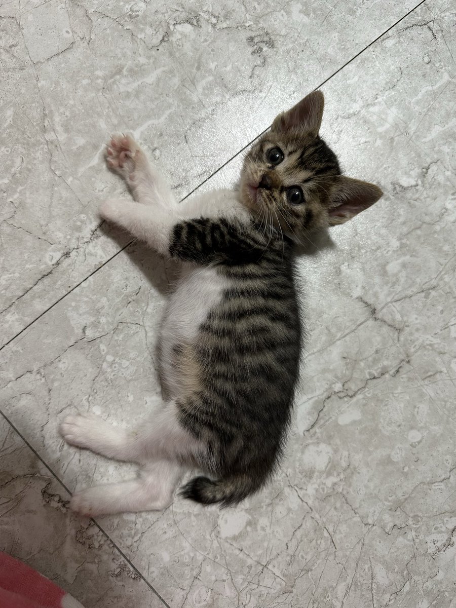 괜찮아요