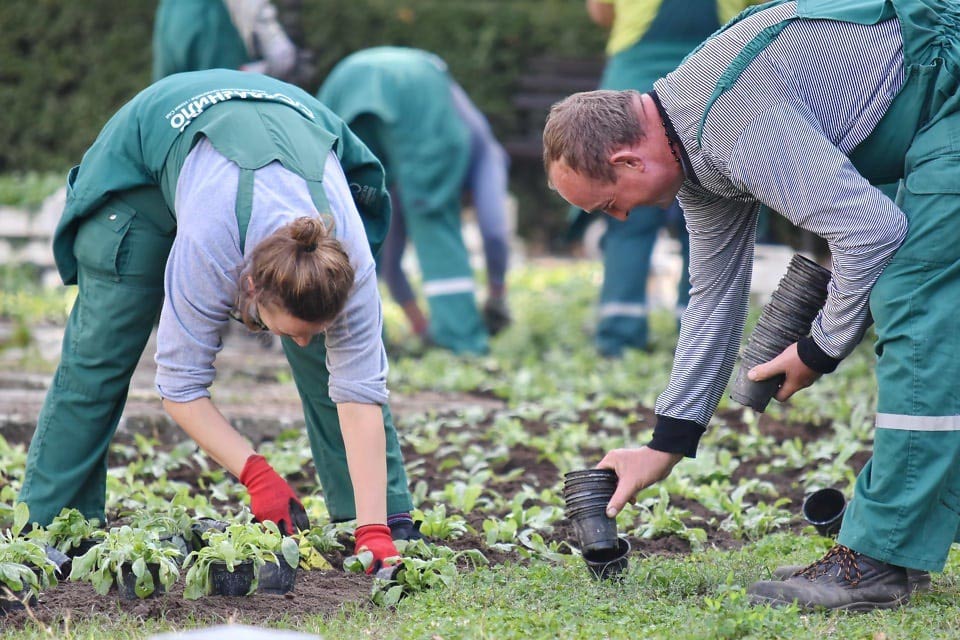 🔴 El servicio de jardinerí­a de Las Rozas hará huelga el jueves 16 de octubre 

La plantilla se encuentra en un proceso de negociación con la empresa, para que se equiparen sus condiciones laborales con las que tienen los servicios de jardinería de otros municipios

La empresa