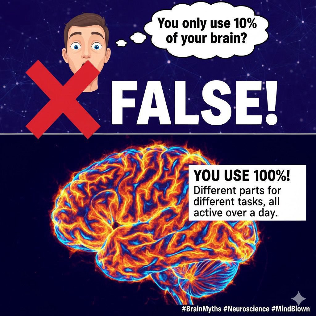 SIGNSGRD's tweet photo. #Brain facts
#SGRD SIGN
#SIGN
#AAN https://t.co/IPVOfPLVOQ