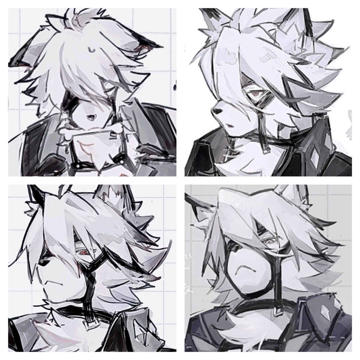 お顔いろいろ🐺