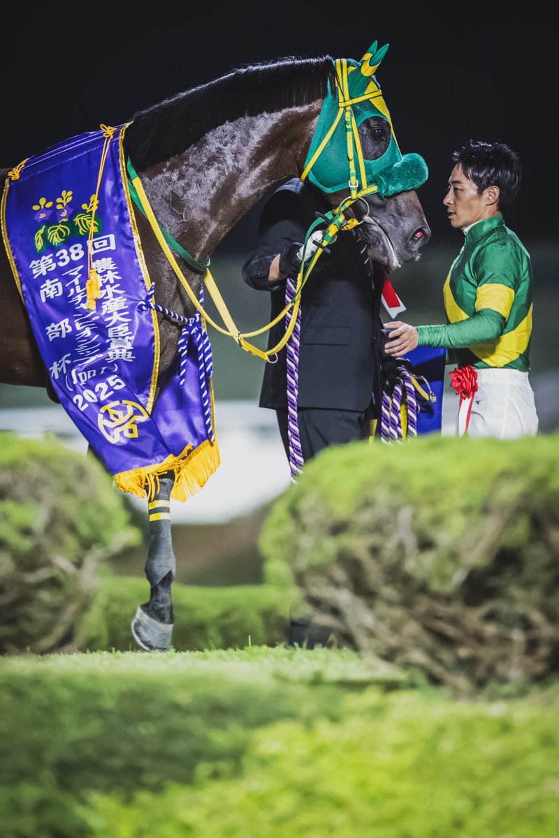 【キタサンブラック】ゴールドパラレル キタサンブラック】ゴールドパラレル セレクトセール2025・2日目