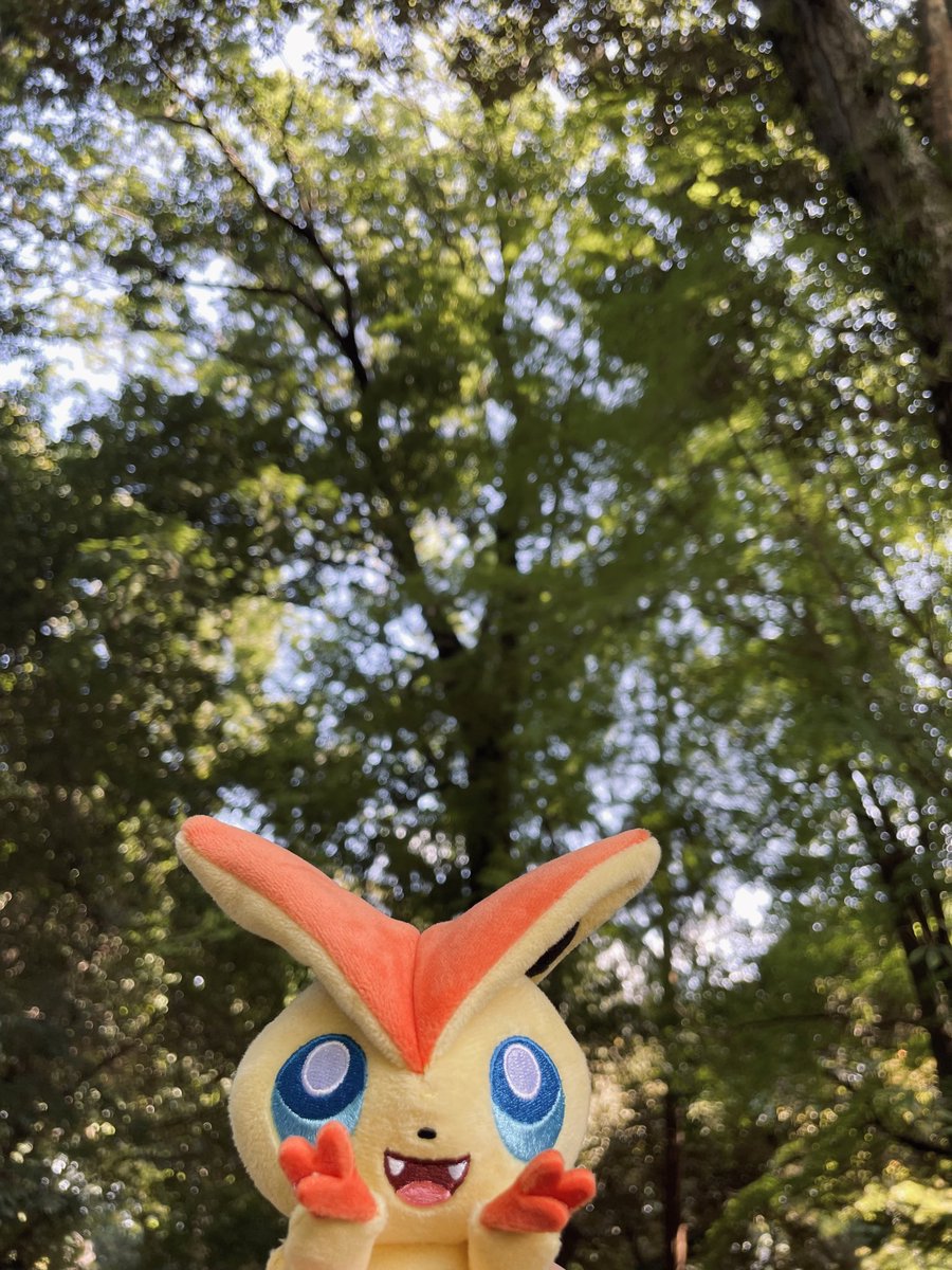 ✌️