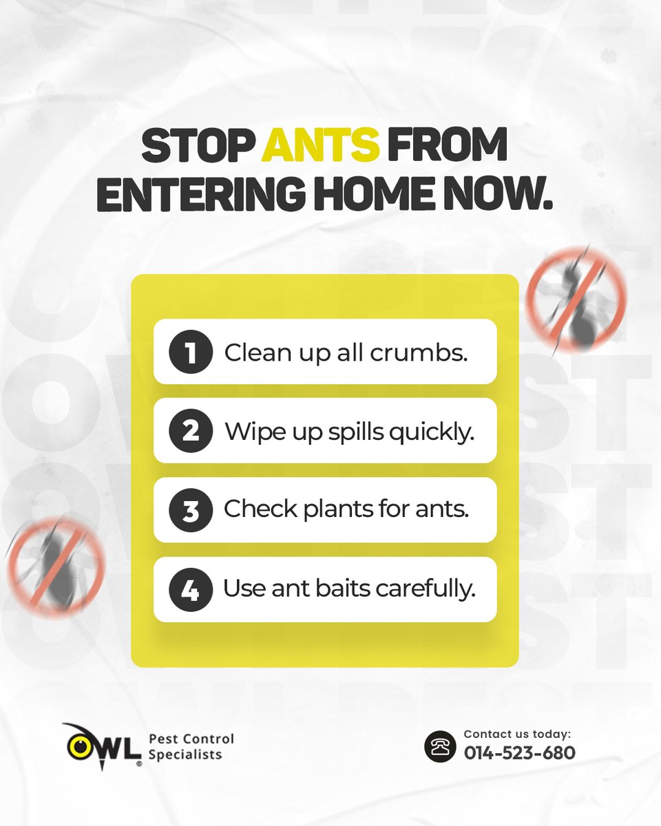 owlpestcontrol's tweet image. 🐜 Ants invading your home? Stop them now!
Clean up crumbs, wipe spills, and use safe baits. If they keep coming, our Dublin experts will handle the rest. 💪🏡
📞 (01) 452-3680 | 🌐 owlpestcontrol.ie
#antcontrol #pestcontrol #pestcontroldublin #stopants #owlpestcontrol
