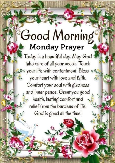 Good morning family! Hope you have a great start to the week! Peace and Blessings ❤️🕊️