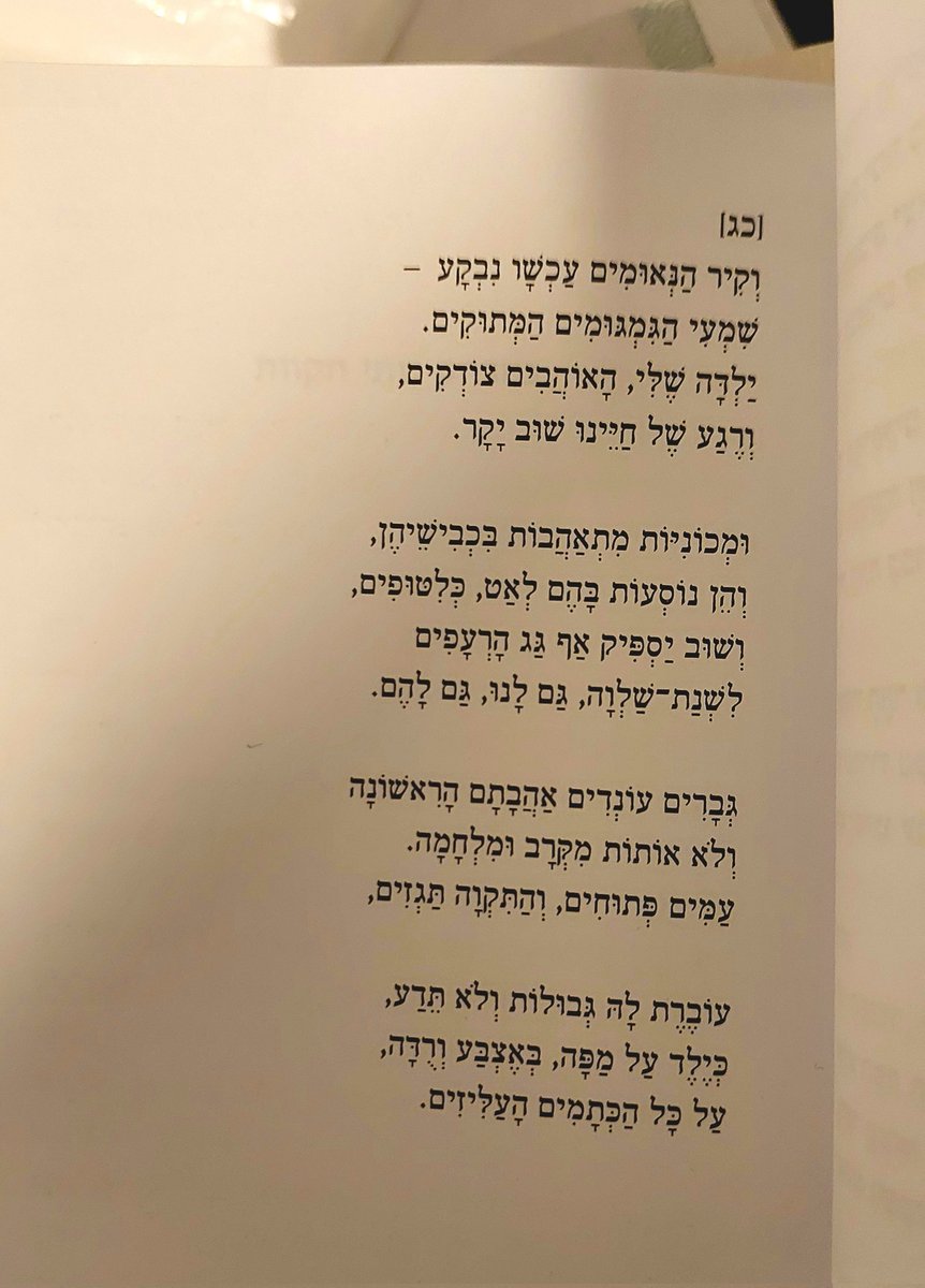 טל-אור מאירסון tweet media
