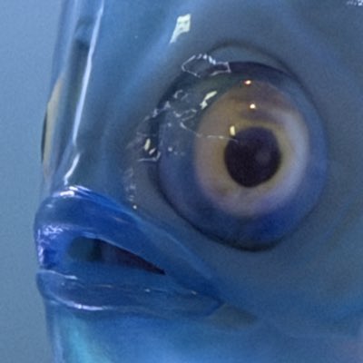 xe_ch4's tweet photo. #新しいプロフィール画像 https://t.co/ZViOXvhfQr