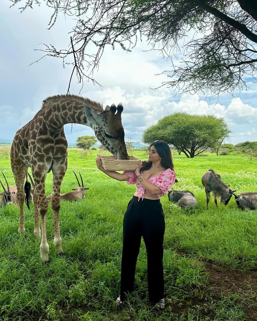 SafariGateway_'s tweet photo. Where the wild feels alive. Karibu Tanzania 🦒

📍 Serval Wildlife, Kilimanjaro 🇹🇿 https://t.co/sg9hYyFzGv