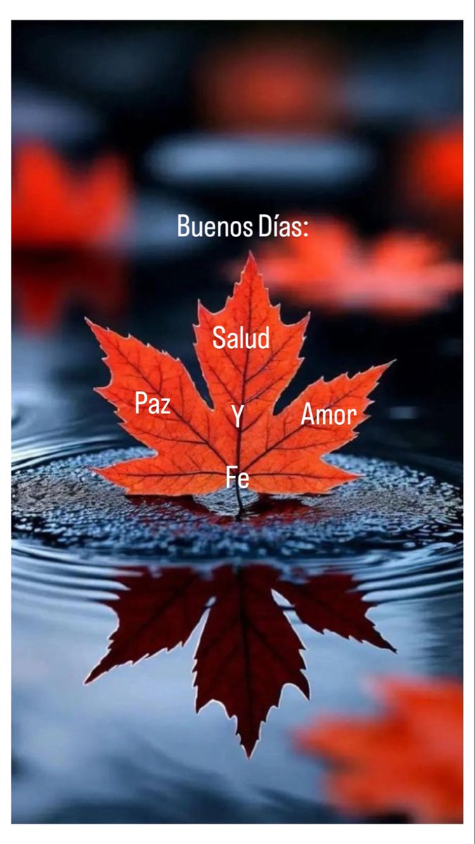 Herbert  Araujo (@herbert_0110) on Twitter photo 