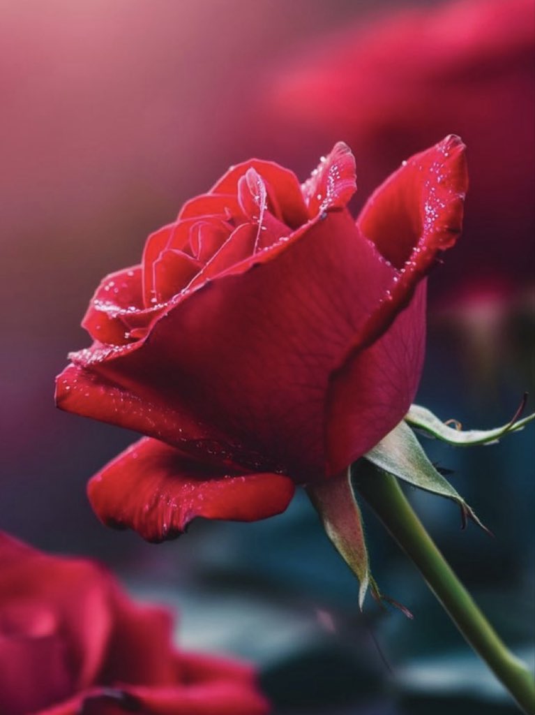 <a href="/r_511_hf/">نوف</a> عيني يا عيني على درر منك
كلام مدوزن غالي الفكر 
لا أبالغ لو قلت ✍🏿
#رسالة_اليوم بإمتياز ادبي 
الحمد لله اني من متابعينك

#بس_حبيت_أقول