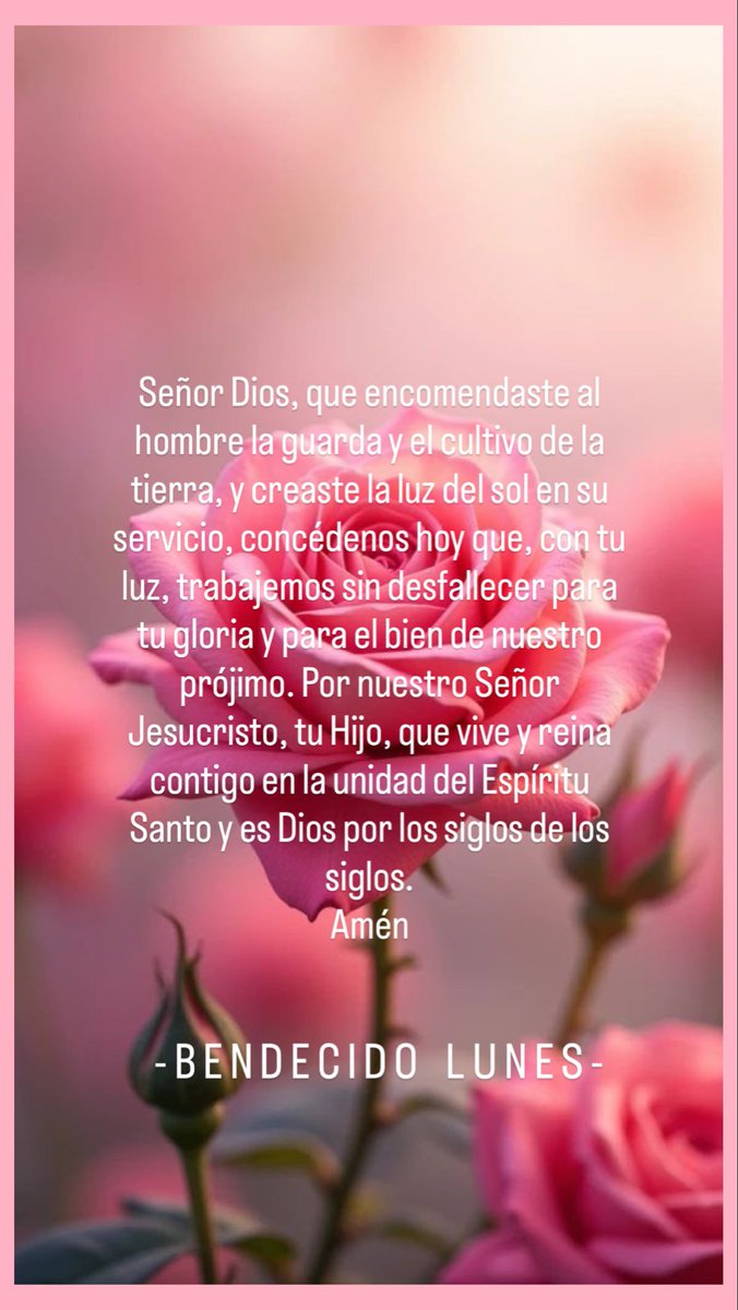 Herbert  Araujo (@herbert_0110) on Twitter photo 