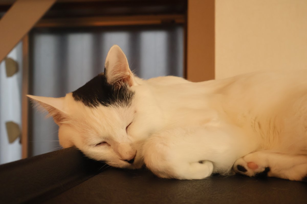 あいくん