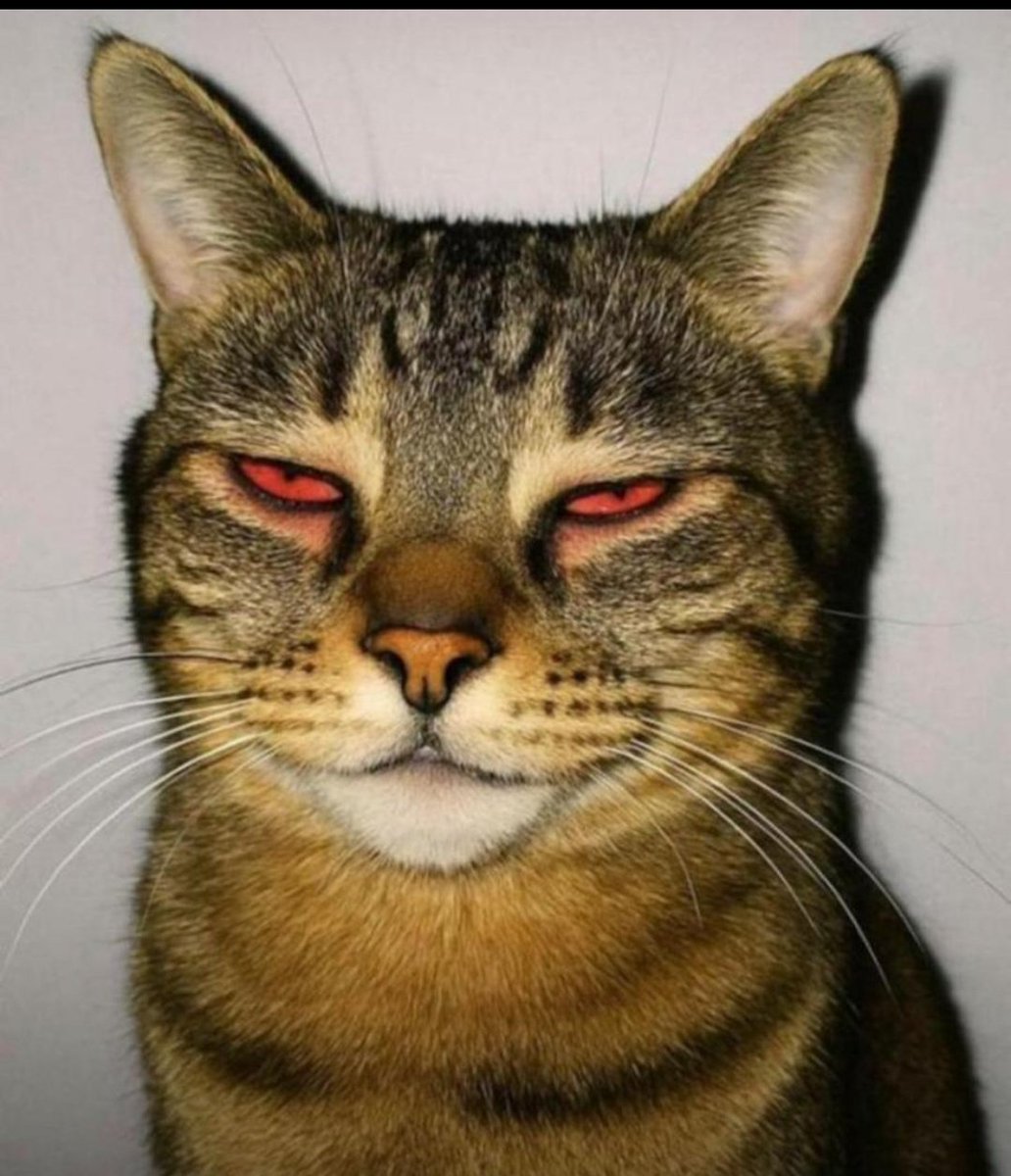 Torchofweb3's tweet image. It won't happen overnight, But if you quit, it won't happen at all.
Gfogo. Gfurbo. Gm.