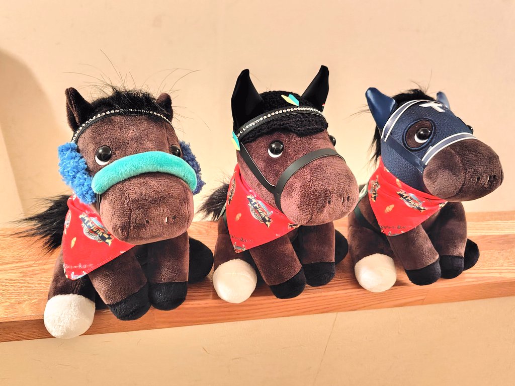 もっち (@mxch5) / Posts / X