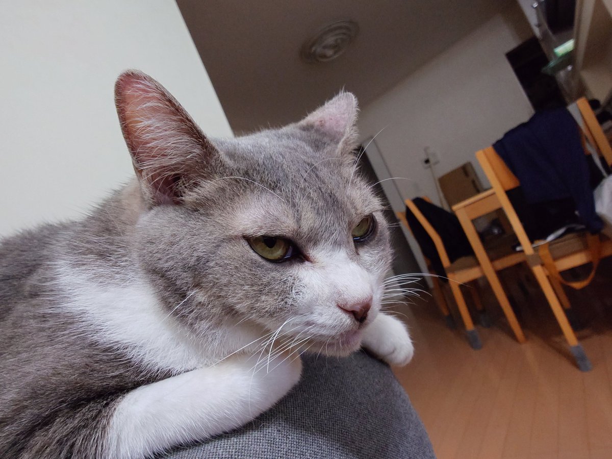 今日も可愛いね