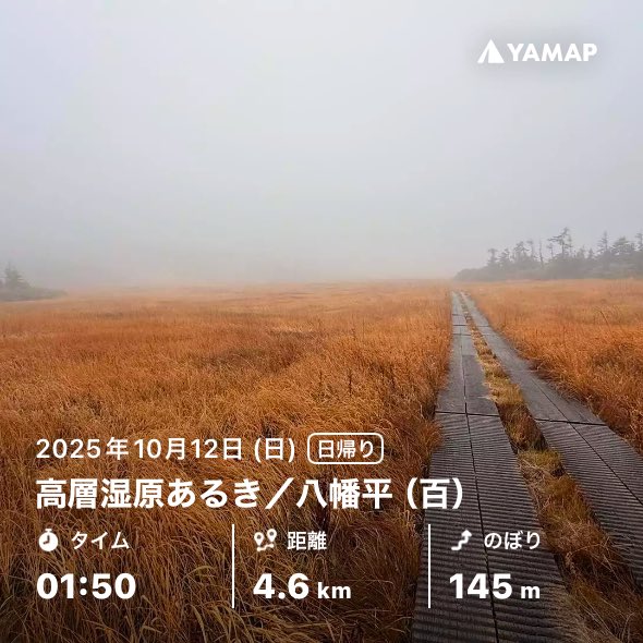 otou's tweet image. 残念ピークゲットだけじゃもったいない！
高層湿原あるき／八幡平（百） yamap.com/activities/435… #YAMAP #山歩しよう