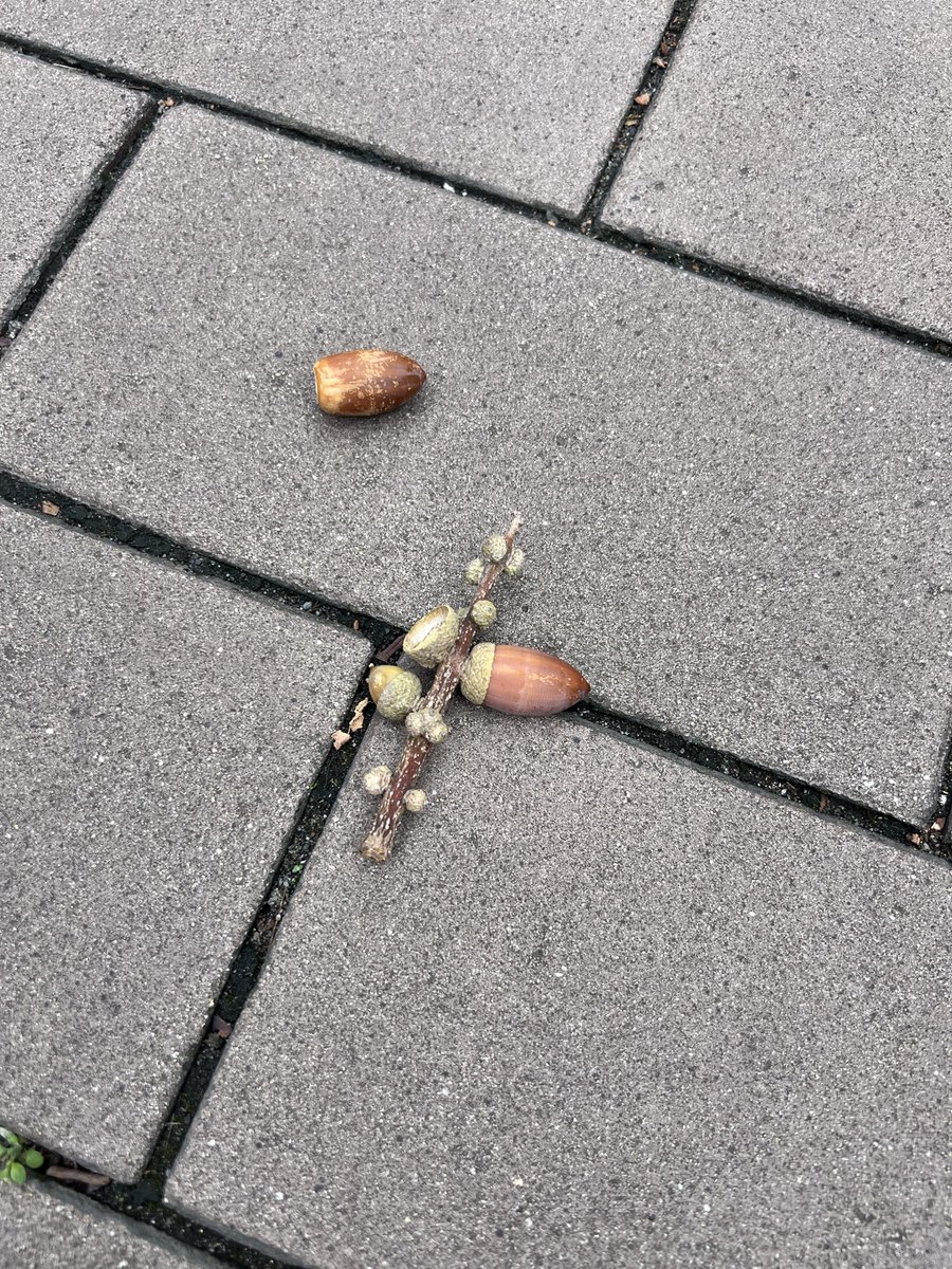 移動の合間で
洗濯回しながらサ🧖して
もうこれ以上働き方への欲が湧かないので
この働き方を繊細なあなたに推したい。