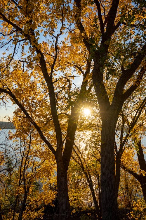 Monday Friendly Reminder… Each new day, a gift to be opened, sunrise slowly unties its ribbon of hope. #NewDay #MondayMotivation #MondayVibes 

🍁☀️🍂🧡