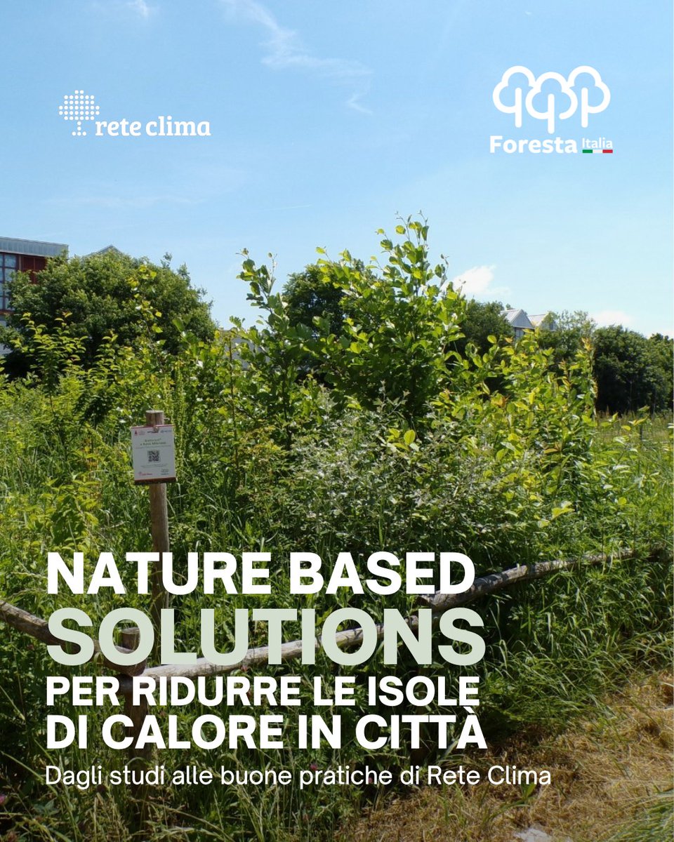 ReteClima's tweet image. Le #città diventano sempre più calde: il fenomeno delle #isole di calore urbane (UHI) porta le superfici cementificate a registrare fino a +10–20 °C rispetto alle aree #verdi circostanti
La soluzione? Puntare sulle Nature-Based Solutions (NBS)
reteclima.it/nbs-isole-di-c…