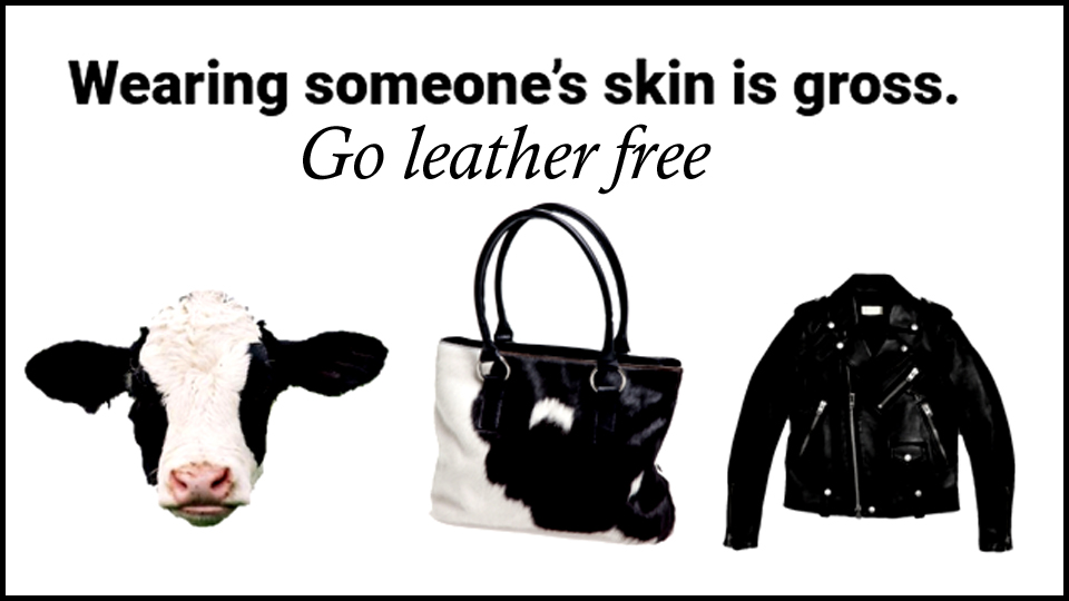 veganfuture's tweet photo. Wearing someone's skin is gross. Go leather-free https://t.co/g4TrAQG5SP