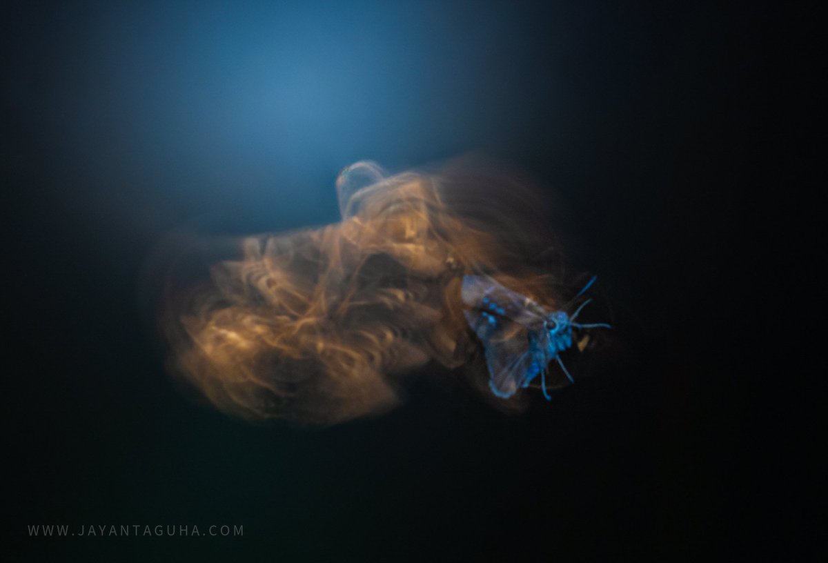 ja_guha's tweet photo. Creative Photography Workshop 

https://t.co/VjTJLNCz5b
#jayantaguhaphotography https://t.co/GCrrvYdphR
