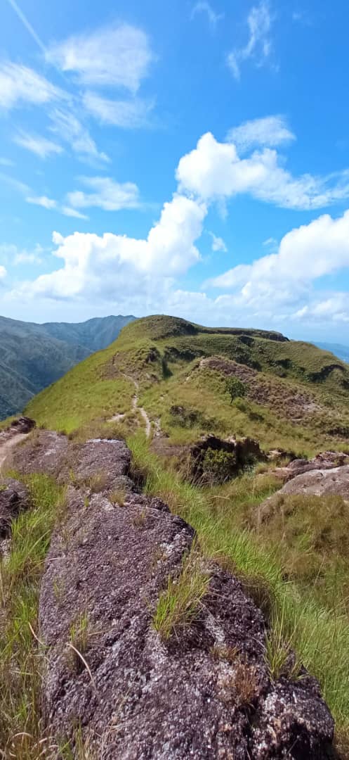 ⛰️Día: 286 año: 2025🌳
"El tiempo de Dios es perfecto, con una nueva alborada".
#LindoLunes ☕
#FructiferaSemana 🙏🏻