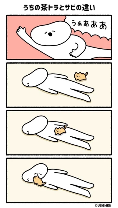 うちの茶トラとサビの違い 