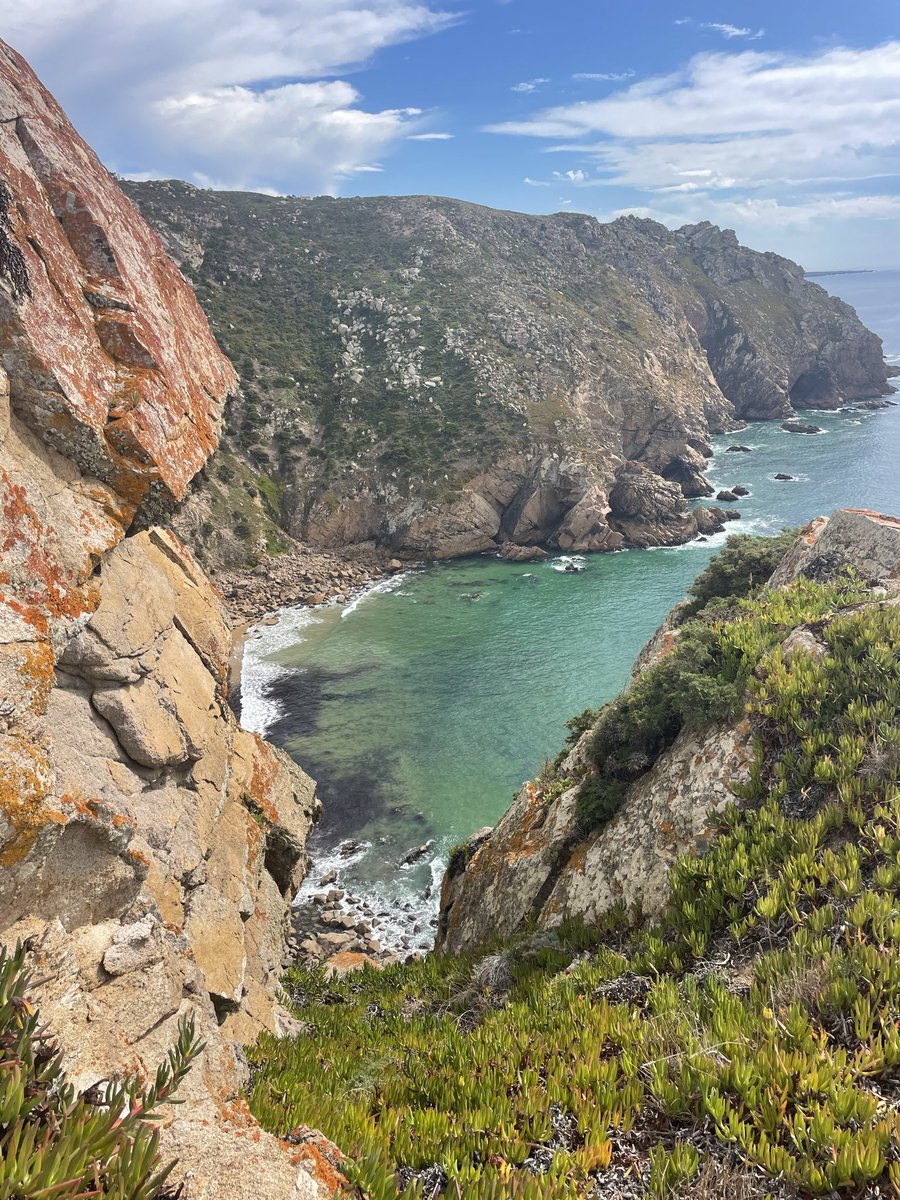 wontabandonme's tweet image. yesterday i hiked 12 miles on the coast of portugal and this one might be my favorite ever &lt;3