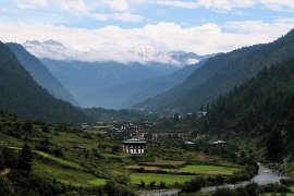 先日お迎えしたブータンアンテ
そもそもブータンてどんなとこだろう？
ヒマラヤ山脈の麓に位置する秘境…幸せの国ブータン王国…
ブータンのトンサ県てどんなとこ？
飼育種の現地の環境が気になる🤔
写真とかいろいろ見てみると標高が高いから暑さが苦手なのもわかるな♪
いつか行ってみたい✨